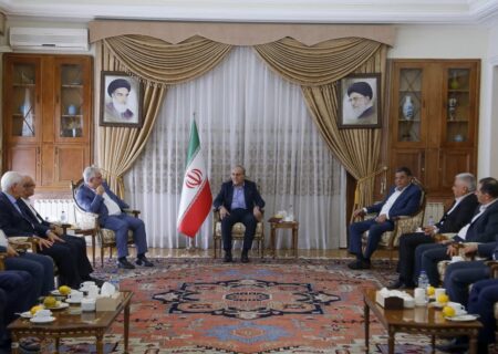 بخش خصوصی در تحقق دیپلماسی اقتصادی نقش‌آفرین باشد/ در دعوای بین بخش خصوصی و دولت، طرف بخش خصوصی هستم