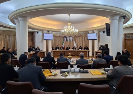 بقای تالاب‌ها مستلزم اقدام هماهنگ دستگاه‌ها وپیش بینی اعتبارات مالی مشخص است