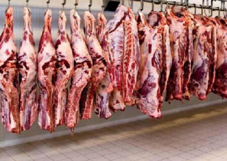 مدیرکل امور عشایر آذربایجان شرقی از تولید حدود ۲۳ درصد گوشت مصرفی استان توسط عشایر
