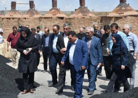  بهره‌برداری از پروژه تولید کربن در شهرستان آذرشهر با هدف کاهش ضایعات بخش کشاورزی