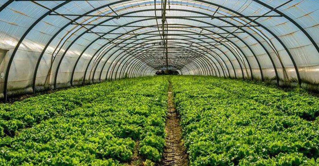 واگذاری ۶۴۰۰ هکتار اراضی آذربایجانشرقی برای توسعه گلخانهها و نیروگاههای خورشیدی