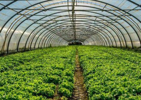 واگذاری ۶۴۰۰ هکتار اراضی آذربایجان‌شرقی برای توسعه گلخانه‌ها و نیروگاه‌های خورشیدی